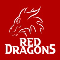 Red Dragons UFSCar logo - Similar company to Dinamo E-Racing Ufscar