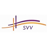 Strategic Vision Ventures, LLC