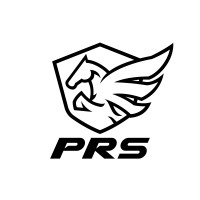 Pegasus Recovery logo - Similar company to Pegasus Recovery Solutions