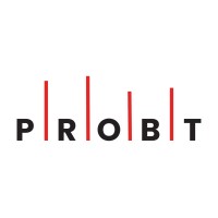 PROBT BİLGİ TEKNOLOJİLERİ SAN.LTD ŞTİ logo - Similar company to Afro Beauty
