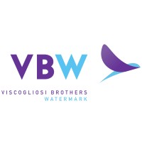 Viscogliosi Brothers Watermark Holdings logo - Similar company to Monaut Partners