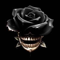 Black Rose Jewellers logo - Similar company to Boota Foundation