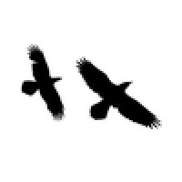 Huginn&Muninn Ltd.