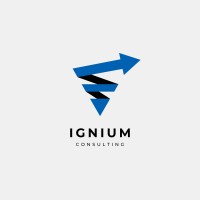 Ignium Consulting logo - Similar company to Ignium Consulting S.L