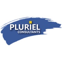 PLURIEL CONSULTANTS logo - Similar company to Nms Distribution