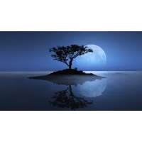 Dreamerz Island International, Inc logo - Similar company to Revoedge