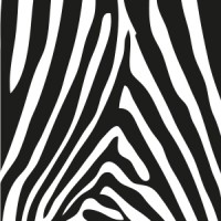 ZEBRA ODYSSEY Unip LDA logo - Similar company to Kcp