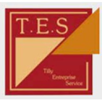 TILLY ENTREPRISE SERVICE logo - Similar company to Certi-Cpf