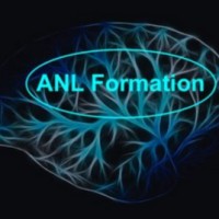 ANL Formation logo - Similar company to Allingua