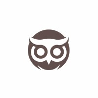 Visowl Ltd logo - Similar company to Studio91 Architecture