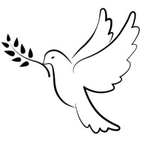 Olive Branch Consulting logo - Similar company to Opticor Precision