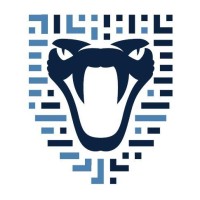 ViperSoft Solutions Ltd logo - Similar company to Cyberwhite Ltd