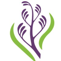 Helensville District Health Trust
