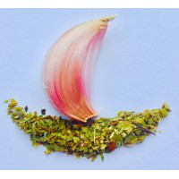 Natures Merchant logo - Similar company to Marhaba Overseas