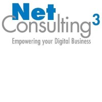NetConsulting cube logo - Similar company to Net Consulting