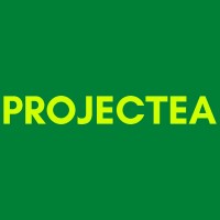 PROJECTEA logo - Similar company to M&U Skin
