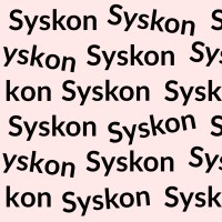 Syskon logo - Similar company to Zecurecode As