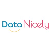 DataNicely logo - Similar company to Teqbuff