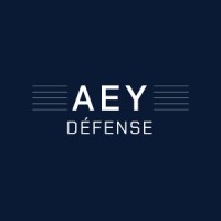 AEY Défense logo - Similar company to Aey