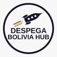 Despega Bolivia Hub logo - Similar company to Ruje Bolivia
