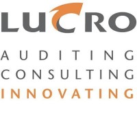 Lucro Auditing & Consulting logo - Similar company to Fenns Incorporated