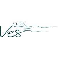 Studio Vesi logo - Similar company to Blissrockhub Ou
