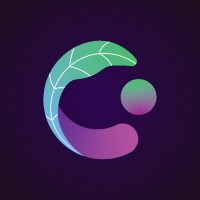 Cius.ai logo - Similar company to Hubtecs Electronics
