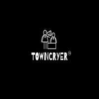 Towncryer Inc logo - Similar company to Itsns