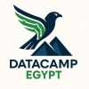 DataCamp Egypt Community logo - Similar company to Data Pill