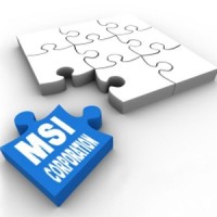 Msi (Modiriyat Saramad Iranian)