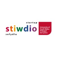 Startup Stiwdio logo - Similar company to Lornatern
