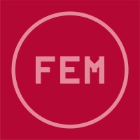 The FEM Group logo - Similar company to Elements Online Business Management