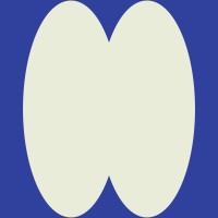 Biograf International Film & Moving Arts Festival logo - Similar company to Biografilm