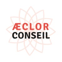 ÆCLOR CONSEIL logo - Similar company to Archifiltre