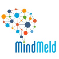 Mindmeld Management Consulting logo - Similar company to Adler Steels India Pvt Ltd