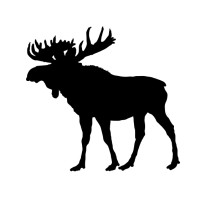 The Great Moose logo - Similar company to Luminary A.C.E.