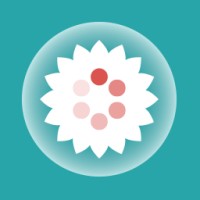 LOIS Safety App logo - Similar company to Datacom Security & Fire