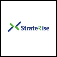 StrateRise Consulting logo - Similar company to Natraj Industries