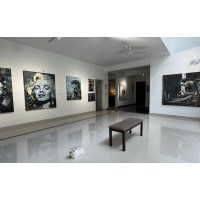 Verde Canvas Art Gallery logo - Similar company to Studio Molen