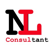 NL CONSULTANT logo - Similar company to Nl-Consulting