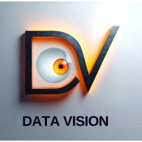 Data Vision logo - Similar company to Data Visionary