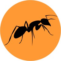 Ambra Digital logo - Similar company to Anonima Comunicazione