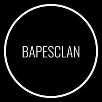 BAPES (BAPESCLAN) logo - Similar company to Mindkix Labs