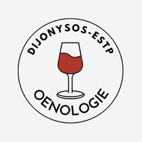 Dijonysos ESTP logo - Similar company to Pub Et Afterwork Dijon