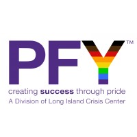PFY logo - Similar company to Raspberrytips