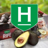 Halls logo - Similar company to Quo Vadis Trust