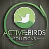 Active Birds Solutions logo - Similar company to Activebiz