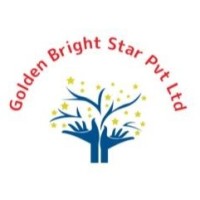 Golden Bright Star Private Limited logo - Similar company to Defentrix Solutions Private Limited