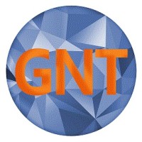 GNT logo - Similar company to Gnt