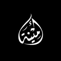 Ameenah Trading logo - Similar company to Aynfaa